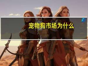 宠物狗市场为什么