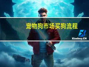 宠物狗市场买狗流程