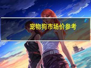 宠物狗市场价参考