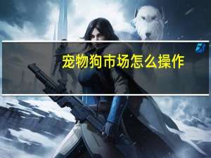 宠物狗市场怎么操作