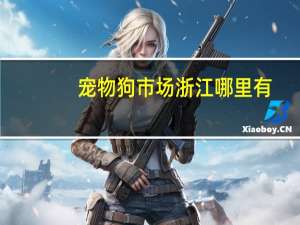 宠物狗市场浙江哪里有