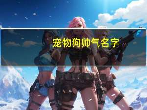 宠物狗帅气名字