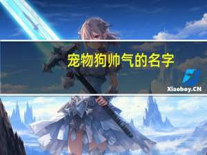 宠物狗帅气的名字