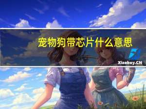 宠物狗带芯片什么意思