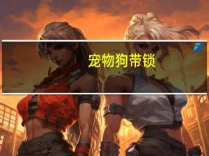 宠物狗带锁