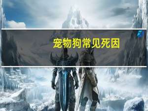 宠物狗常见死因