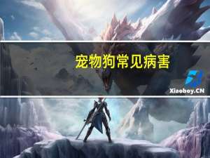 宠物狗常见病害