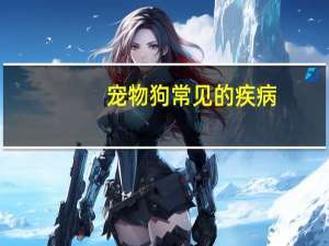 宠物狗常见的疾病