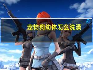 宠物狗幼体怎么洗澡