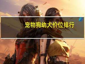 宠物狗幼犬价位排行