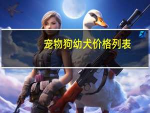 宠物狗幼犬价格列表