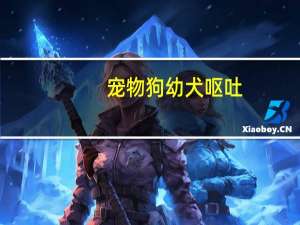 宠物狗幼犬呕吐