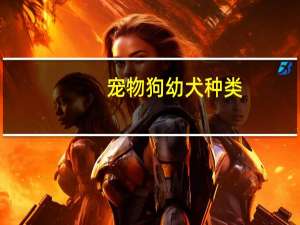宠物狗幼犬种类