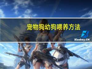 宠物狗幼狗喂养方法