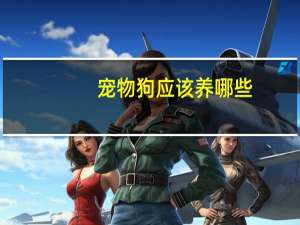 宠物狗应该养哪些