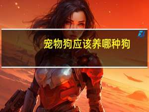 宠物狗应该养哪种狗