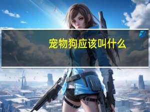 宠物狗应该叫什么