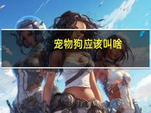 宠物狗应该叫啥