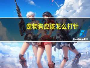 宠物狗应该怎么打针