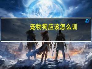 宠物狗应该怎么训
