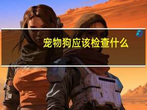 宠物狗应该检查什么