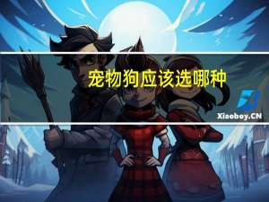 宠物狗应该选哪种