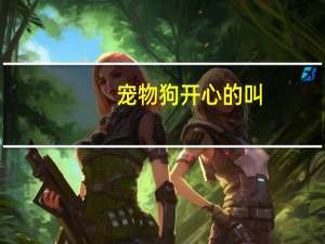 宠物狗开心的叫