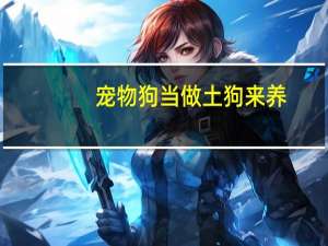 宠物狗当做土狗来养