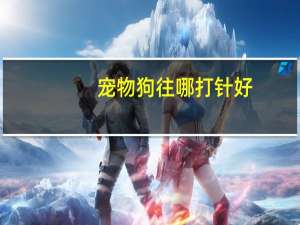 宠物狗往哪打针好