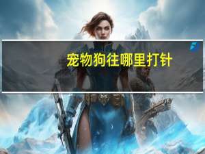 宠物狗往哪里打针