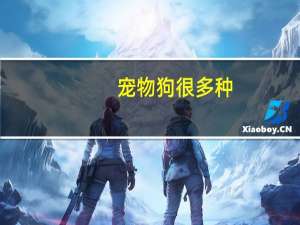 宠物狗很多种