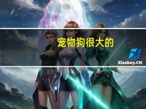宠物狗很大的