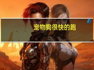 宠物狗很快的跑