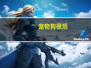宠物狗很烦