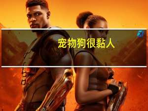 宠物狗很黏人