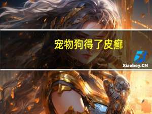 宠物狗得了皮癣