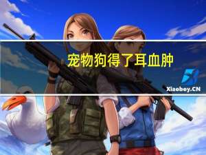 宠物狗得了耳血肿