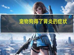 宠物狗得了肾炎的症状