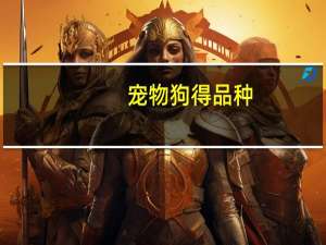 宠物狗得品种
