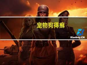 宠物狗得癣