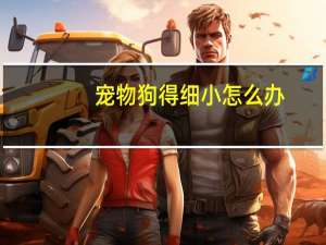 宠物狗得细小怎么办