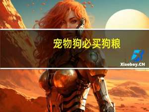 宠物狗必买狗粮
