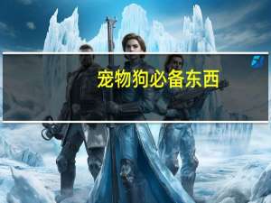 宠物狗必备东西