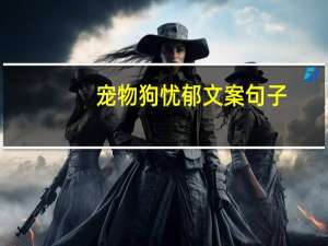 宠物狗忧郁文案句子