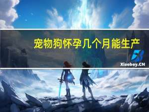 宠物狗怀孕几个月能生产