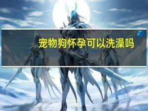 宠物狗怀孕可以洗澡吗