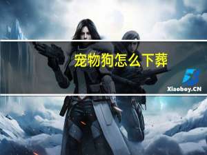 宠物狗怎么下葬