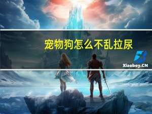 宠物狗怎么不乱拉尿