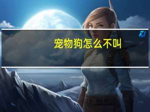宠物狗怎么不叫