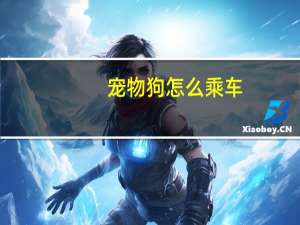 宠物狗怎么乘车